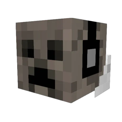 Coach_Kennedy Minecraft avatar head, 3D render