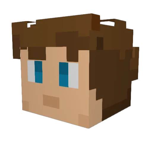 CoachingBerry14 Minecraft avatar head, 3D render