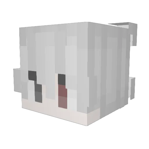 CoachyWE Minecraft avatar head, 3D render