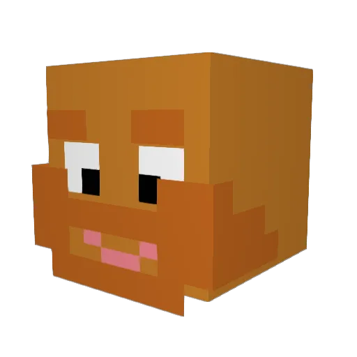 Coaksy Minecraft avatar head, 3D render