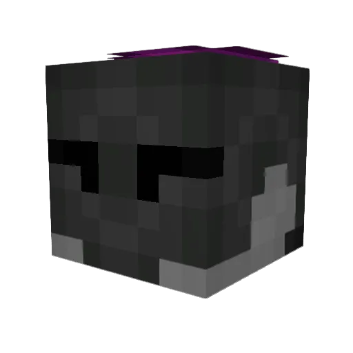 Coal1022 Minecraft avatar head, 3D render
