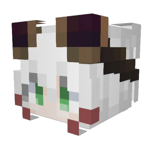 CoalExists Minecraft avatar head, 3D render