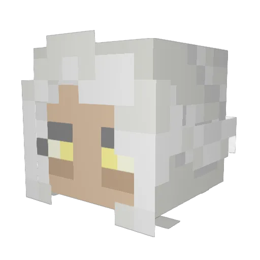 CoalMonger Minecraft avatar head, 3D render
