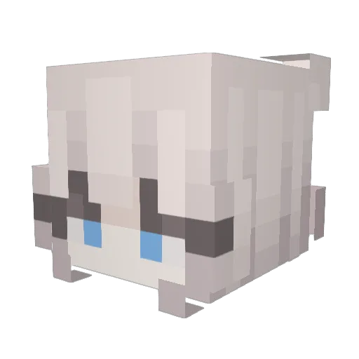 CoalRock Minecraft avatar head, 3D render