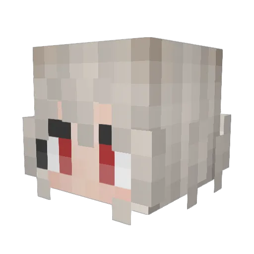 CoalSpin Minecraft avatar head, 3D render