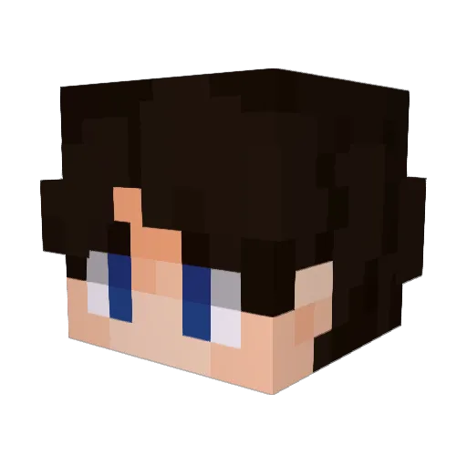 Coal_Shadow Minecraft avatar head, 3D render