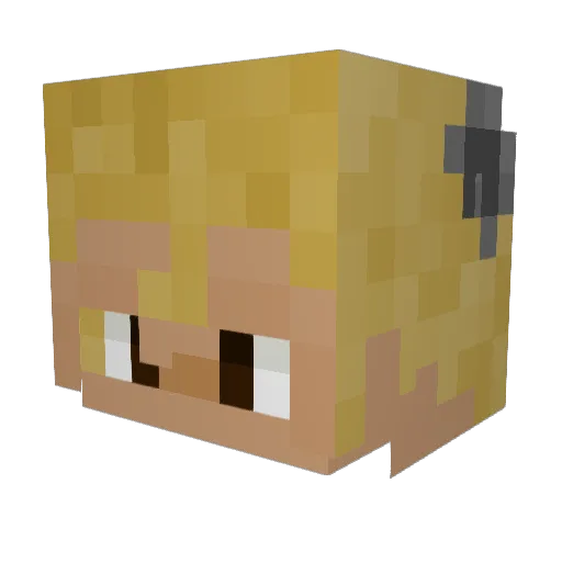 Coala_boy Minecraft avatar head, 3D render