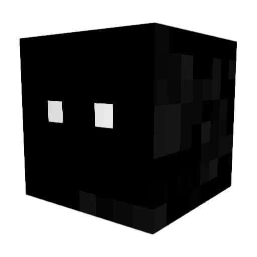 Coalx9 Minecraft avatar head, 3D render