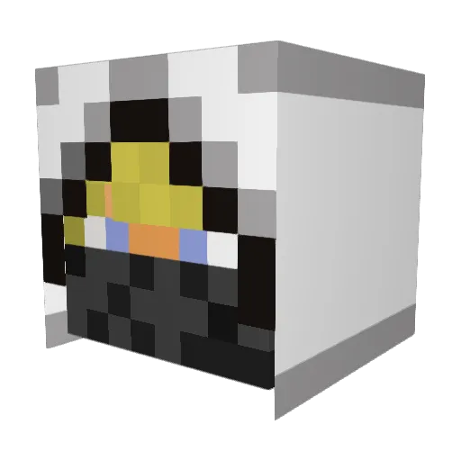 CoaralerTyp Minecraft avatar head, 3D render