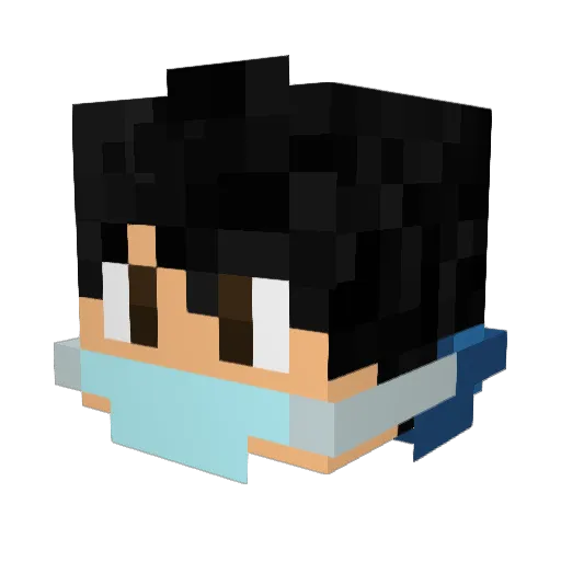 Coarg Minecraft avatar head, 3D render