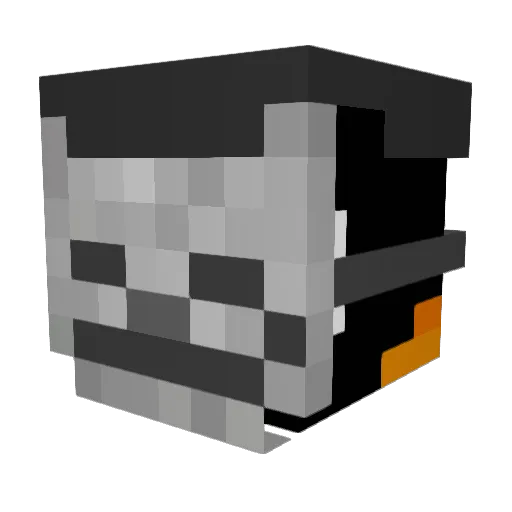 CoastAsteroid42 Minecraft avatar head, 3D render