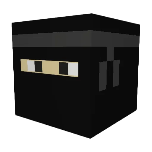 Coaster41 Minecraft avatar head, 3D render