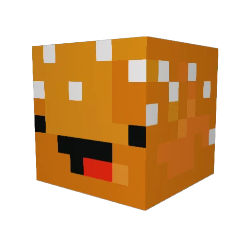 CoasterAidan18 Minecraft avatar head, 3D render