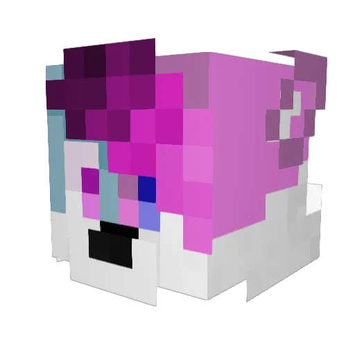 Coaster_Coyote Minecraft avatar head, 3D render