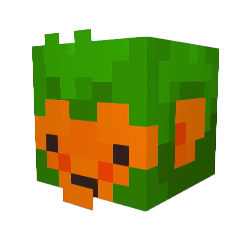 Coaster_Jappie Minecraft avatar head, 3D render