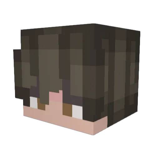 Coasterfreak20 Minecraft avatar head, 3D render