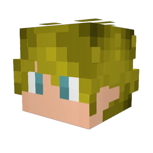 Coasterly Minecraft avatar head, 3D render