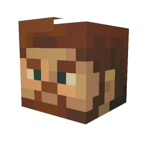 CoastyToasty435 Minecraft avatar head, 3D render