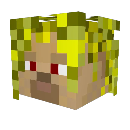 Coausti Minecraft avatar head, 3D render