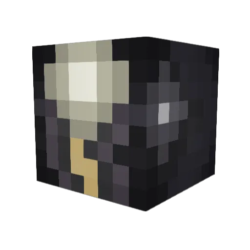 Coaxol Minecraft avatar head, 3D render