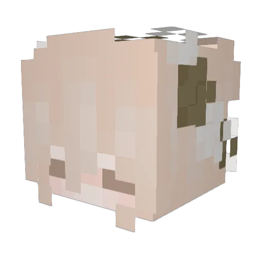 Cobaea Minecraft avatar head, 3D render