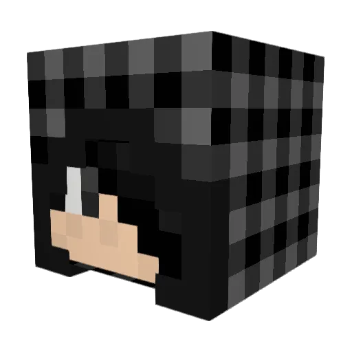 CobaltFox99 Minecraft avatar head, 3D render