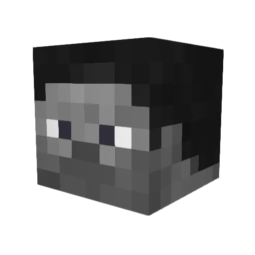 CobblestoneKiwi Minecraft avatar head, 3D render