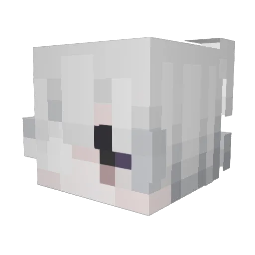Cobeti Minecraft avatar head, 3D render