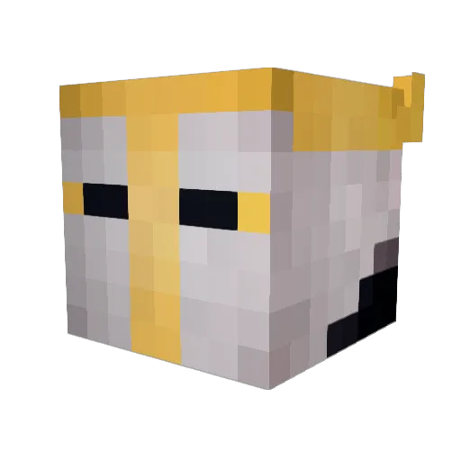 Cobi27 Minecraft avatar head, 3D render