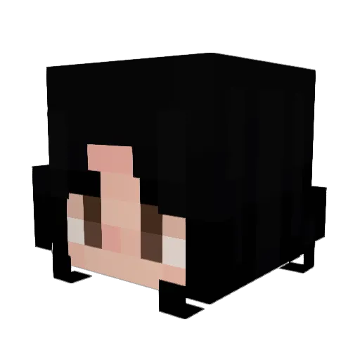 Cobquiky Minecraft avatar head, 3D render
