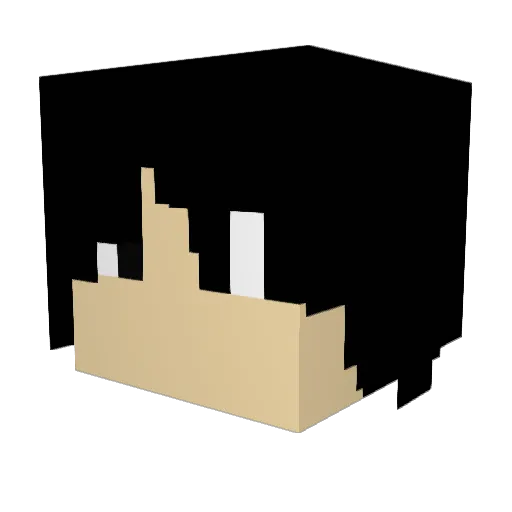 CobraKid_Fung Minecraft avatar head, 3D render