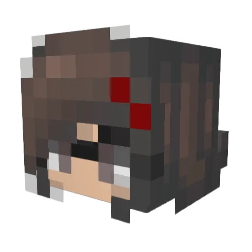 CobraSN Minecraft avatar head, 3D render