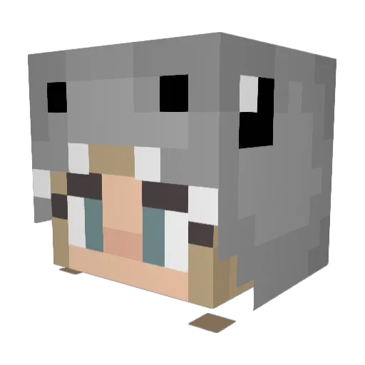 CobraShark05 Minecraft avatar head, 3D render