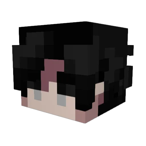 Cobryz Minecraft avatar head, 3D render
