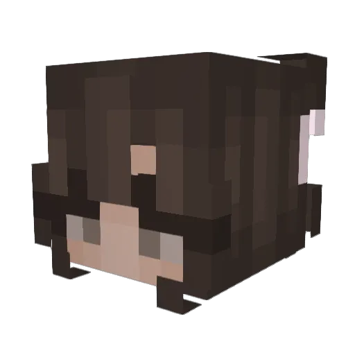 CocaCola098 Minecraft avatar head, 3D render