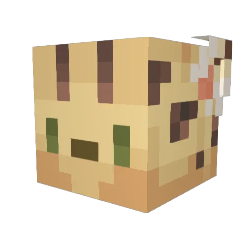 Cocacaco Minecraft avatar head, 3D render