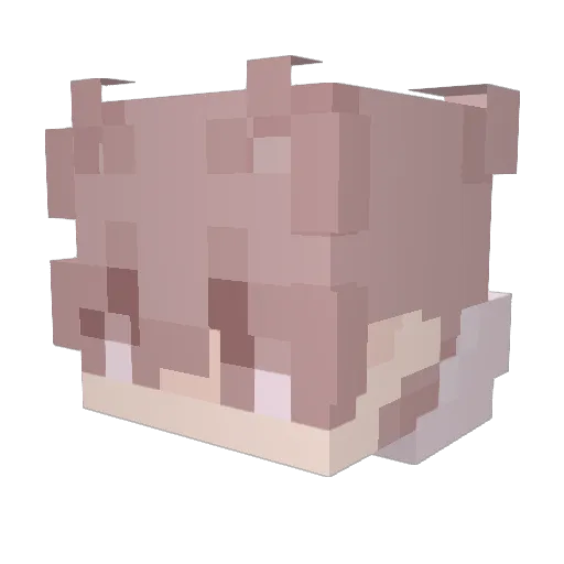 Cocaconlavandina Minecraft avatar head, 3D render