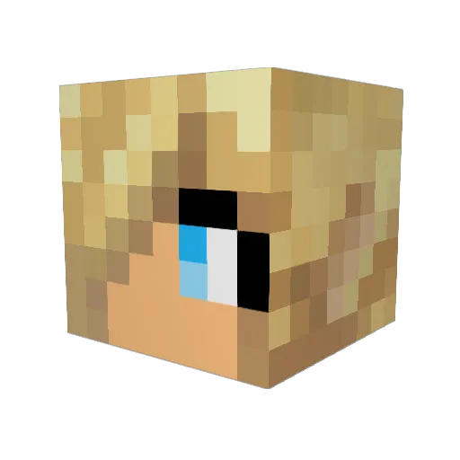 Cocakoni Minecraft avatar head, 3D render