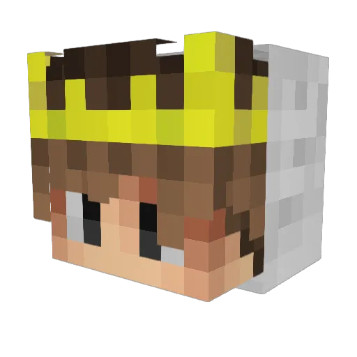 Cocayna Minecraft avatar head, 3D render