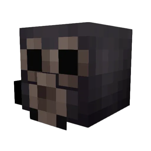 Coccino Minecraft avatar head, 3D render