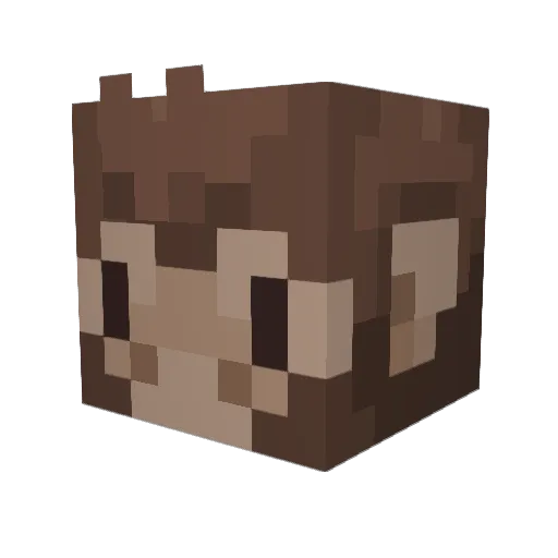 CoccodiNoce Minecraft avatar head, 3D render