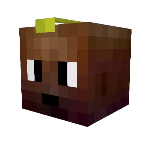 Cocconice Minecraft avatar head, 3D render