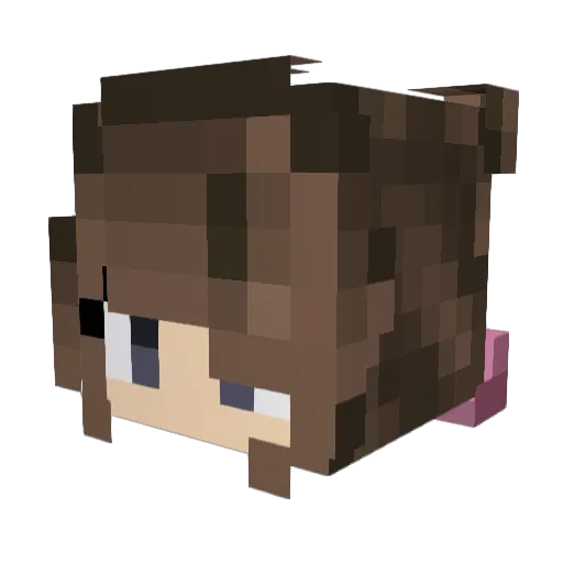CociCrafter Minecraft avatar head, 3D render