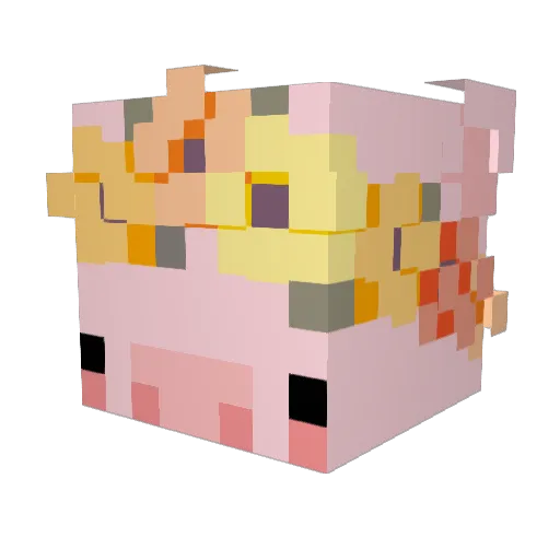 Coco0204 Minecraft avatar head, 3D render