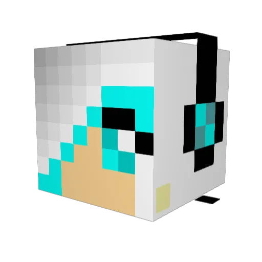 Coco0233577 Minecraft avatar head, 3D render