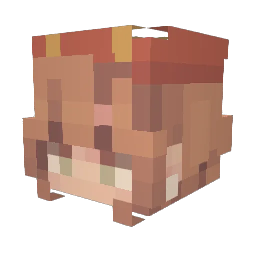 Coco142023 Minecraft avatar head, 3D render