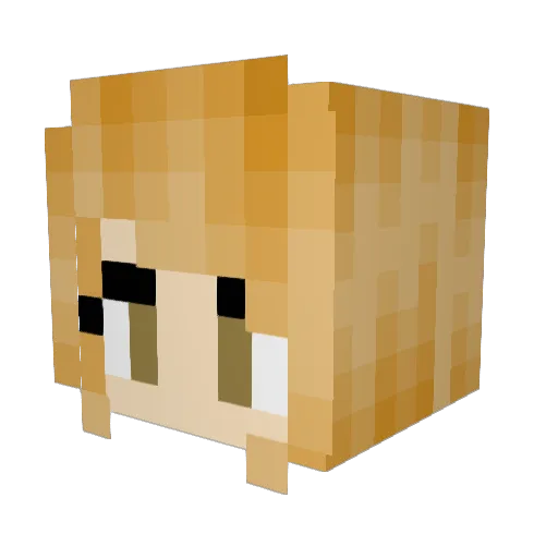 Coco1b Minecraft avatar head, 3D render