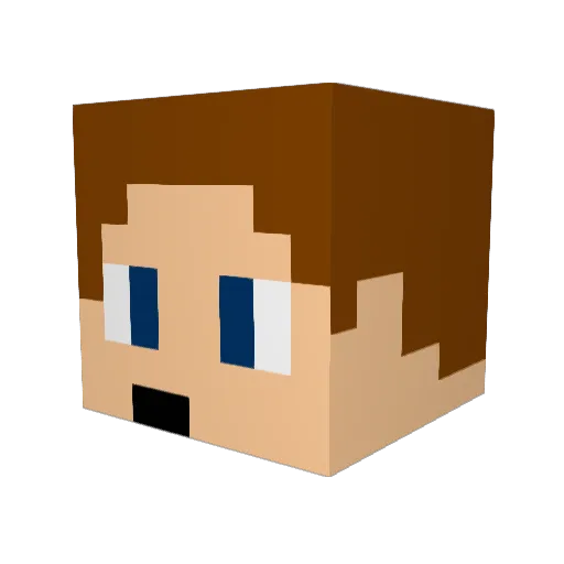 Coco2711 Minecraft avatar head, 3D render