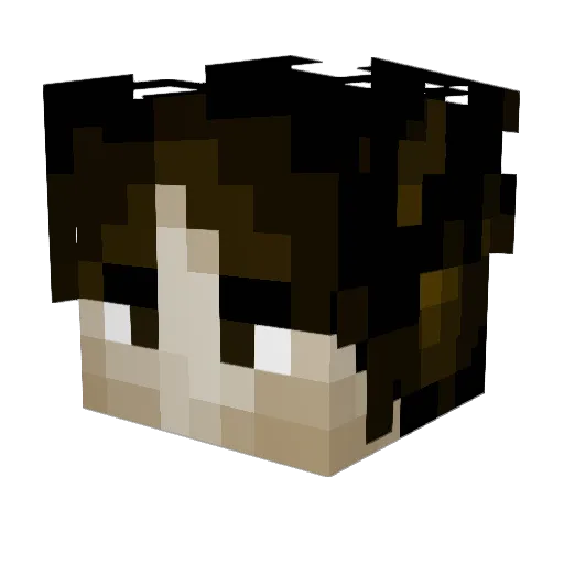 Coco4wii Minecraft avatar head, 3D render