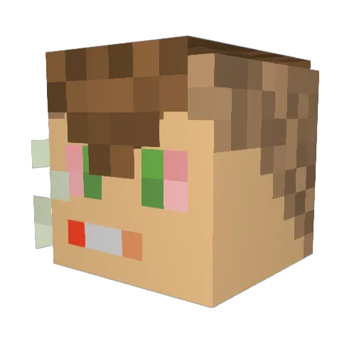 CocoBenco Minecraft avatar head, 3D render